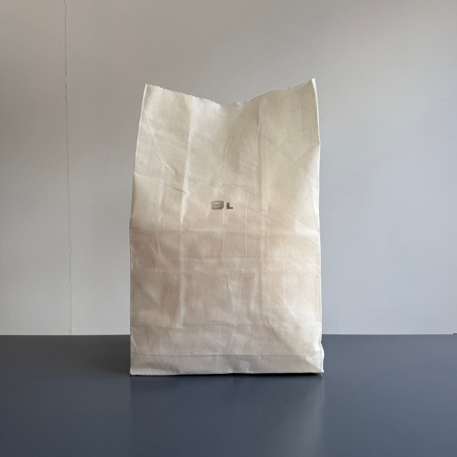 Wax Cotton Grocery Bag 9L, White