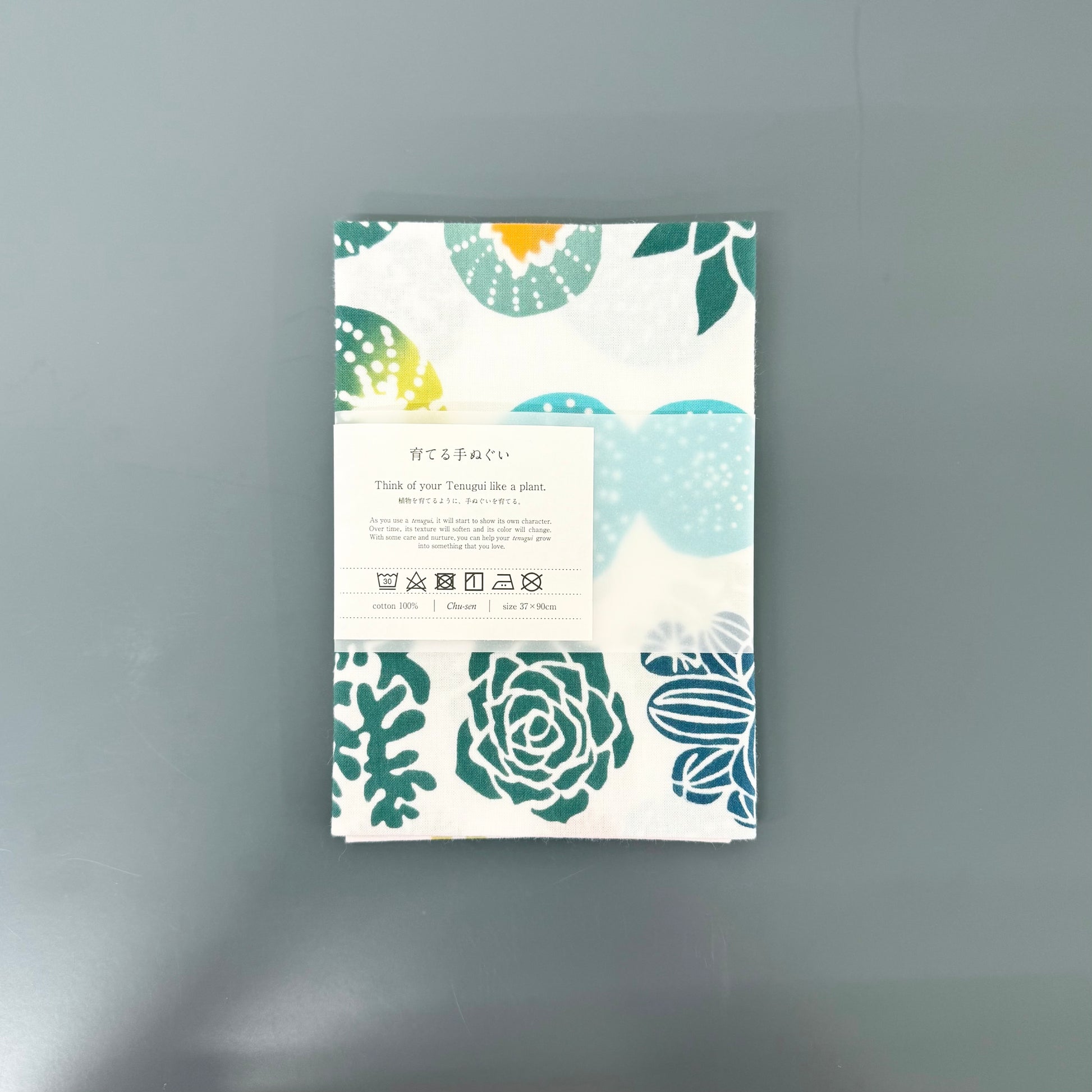 Japanese Tenugui Cloth, Succulent Plants